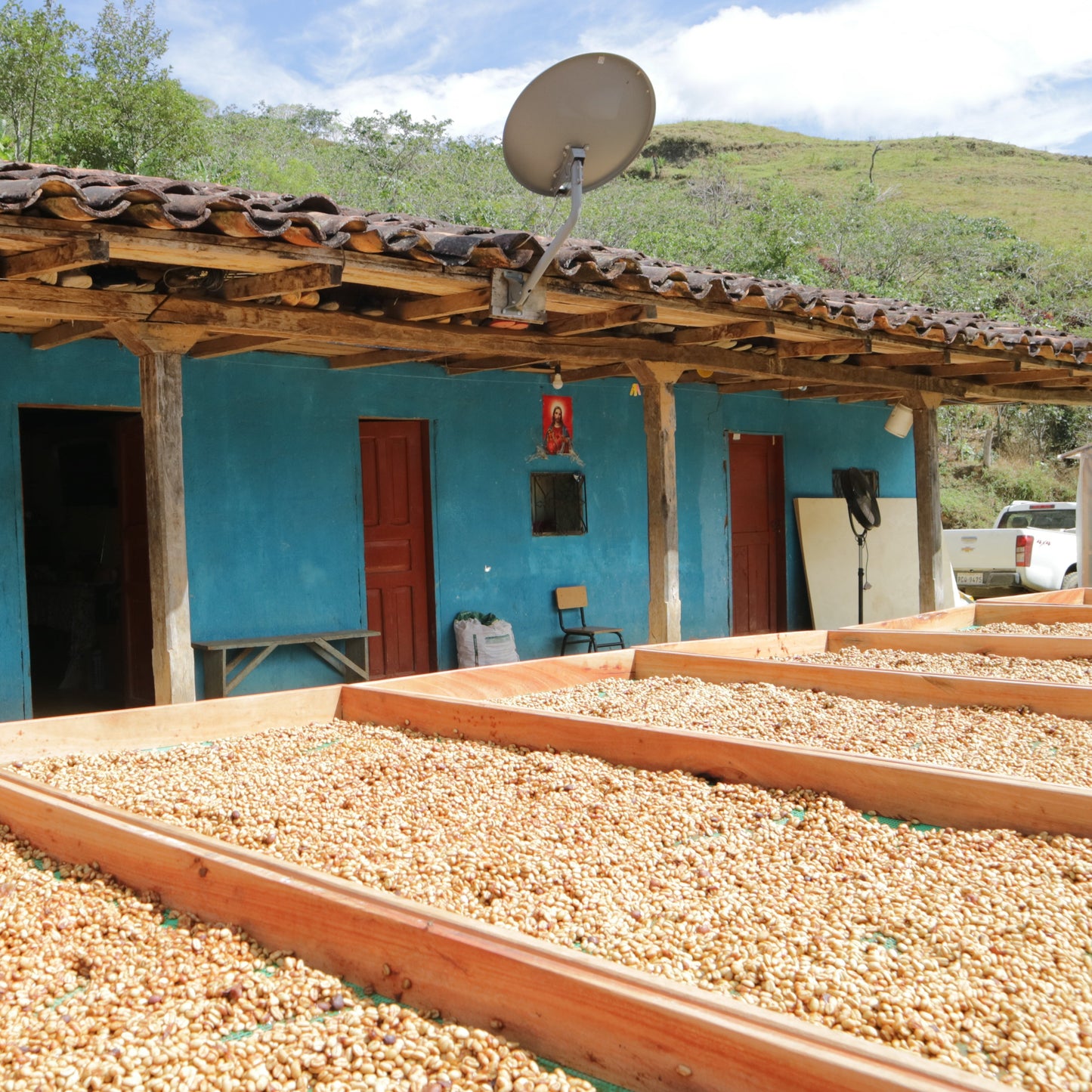 Ecuador El Alisal Sidra (Anaerobic Washed)