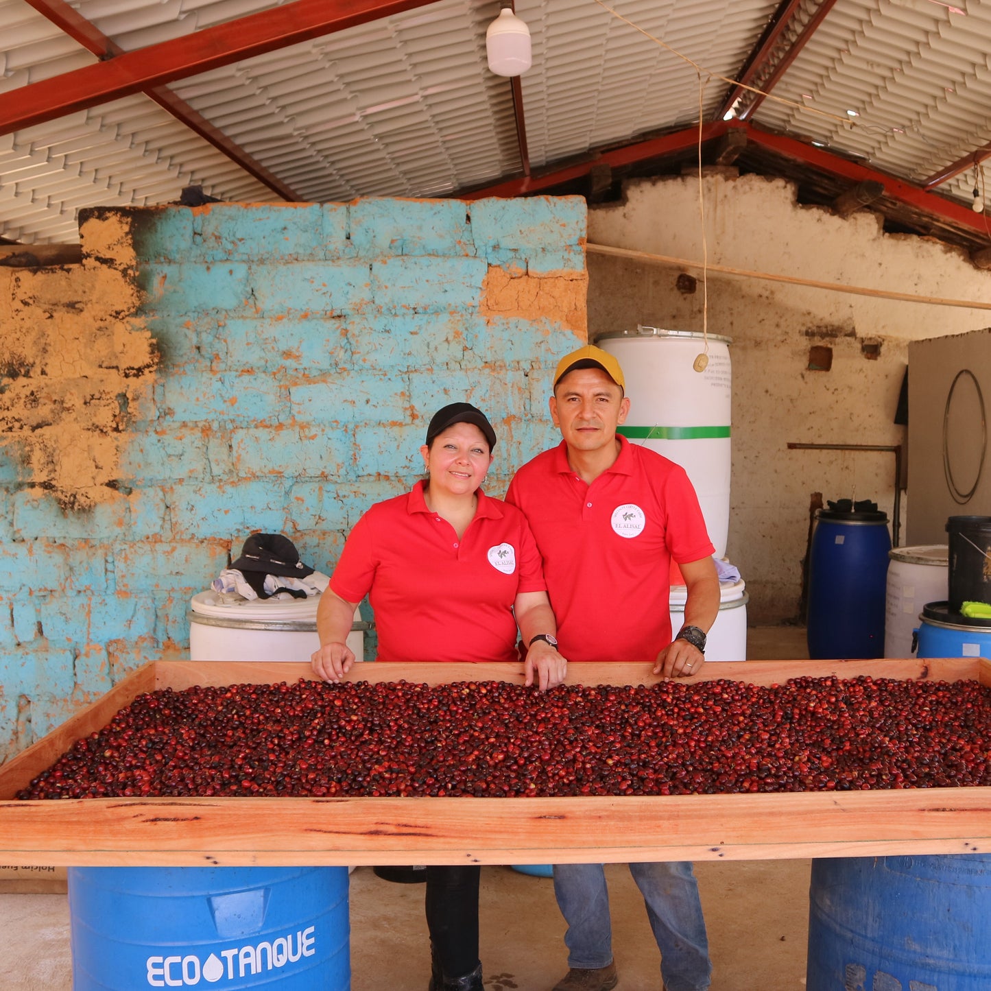 Ecuador El Alisal Sidra (Anaerobic Washed)
