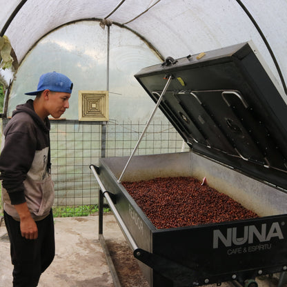 Ecuador San Agustin Heirloom (Natural)